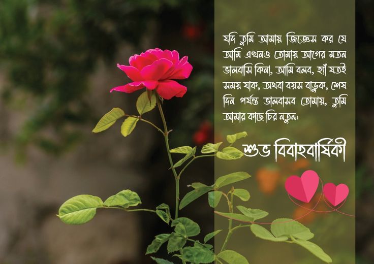 বিবাহ বার্ষিকী স্ট্যাটাস