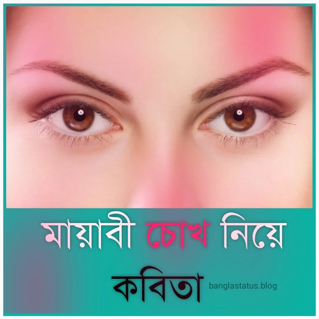 বাছাইকৃত ১০টি মায়াবী চোখ নিয়ে কবিতা ২০২৫, জীবনের গল্প