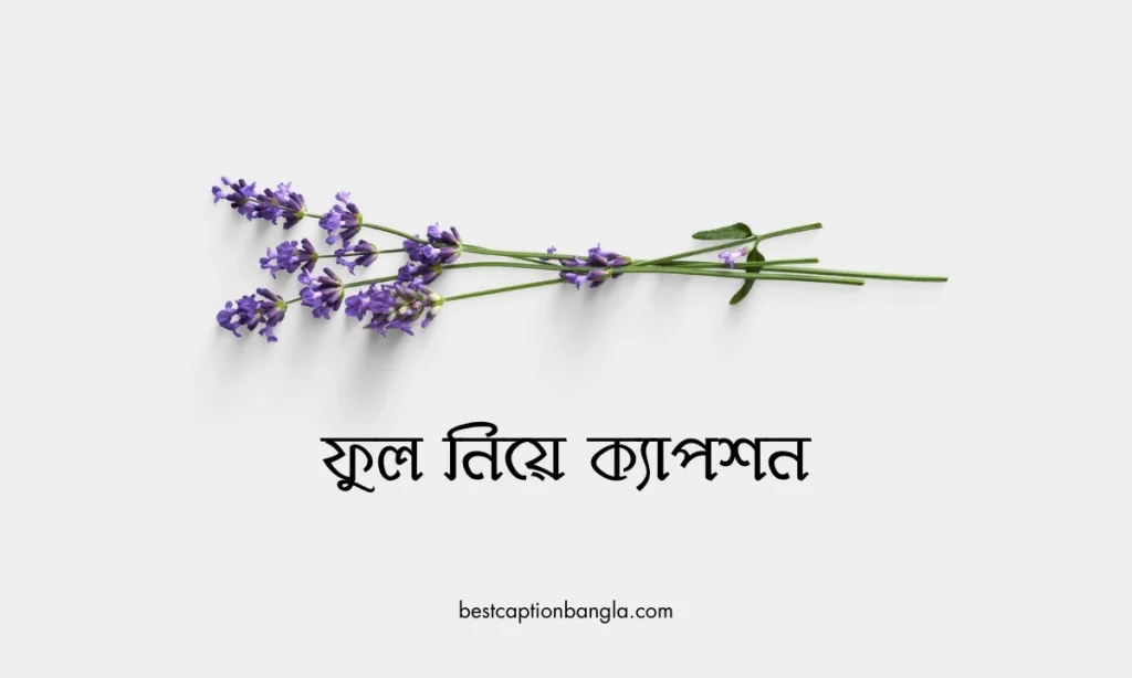 100+ সুন্দর ফুল নিয়ে ক্যাপশন, উক্তি ও স্ট্যাটাস, হাসির স্ট্যাটাস