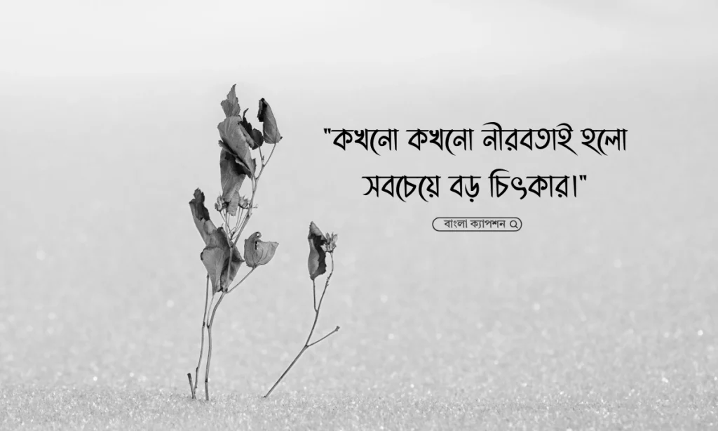 ১৩০+ মন খারাপের উক্তি, স্ট্যাটাস, ক্যাপশন ও কিছু কথা ২০২৬, শুভ জন্মদিন ভাই