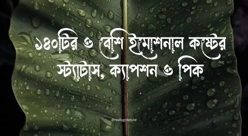 ১৪০+ ইমোশনাল কষ্টের স্ট্যাটাস, ক্যাপশন ও পিক, ঈদ মোবারক স্ট্যাটাস