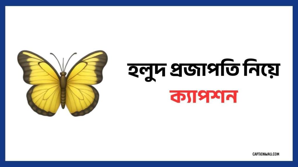 159+ সেরা হলুদ প্রজাপতি নিয়ে ক্যাপশন ২০২৬, saree caption bangla