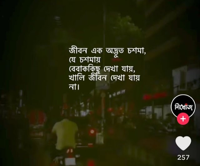 ১৯৯+ টিকটক ক্যাপশন বাংলা || টিকটক স্ট্যাটাস ক্যাপশন ২০২৫, কষ্টের স্ট্যাটাস বাংলা