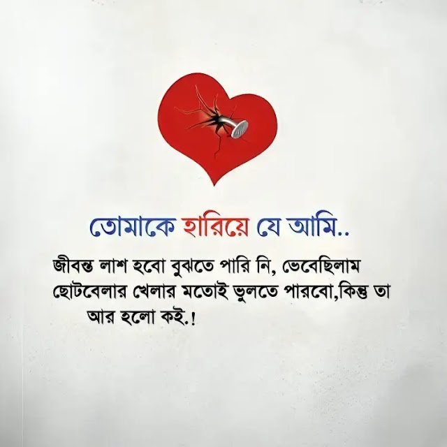 200+ ভালোবাসার মানুষকে হারানোর স্ট্যাটাস 2025, জীবনের গল্প