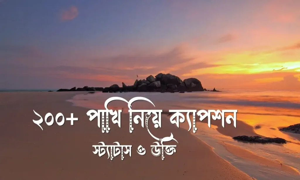 ২০০+ পাখি নিয়ে ক্যাপশন, স্ট্যাটাস ও উক্তি, ঘুরাঘুরি ক্যাপশন বাংলা