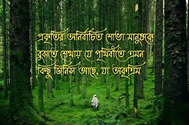 ২০০+ প্রকৃতি নিয়ে ক্যাপশন, কবিতা, স্ট্যাটাস ও উক্তি (ছবি সহ), রমজান নিয়ে স্ট্যাটাস