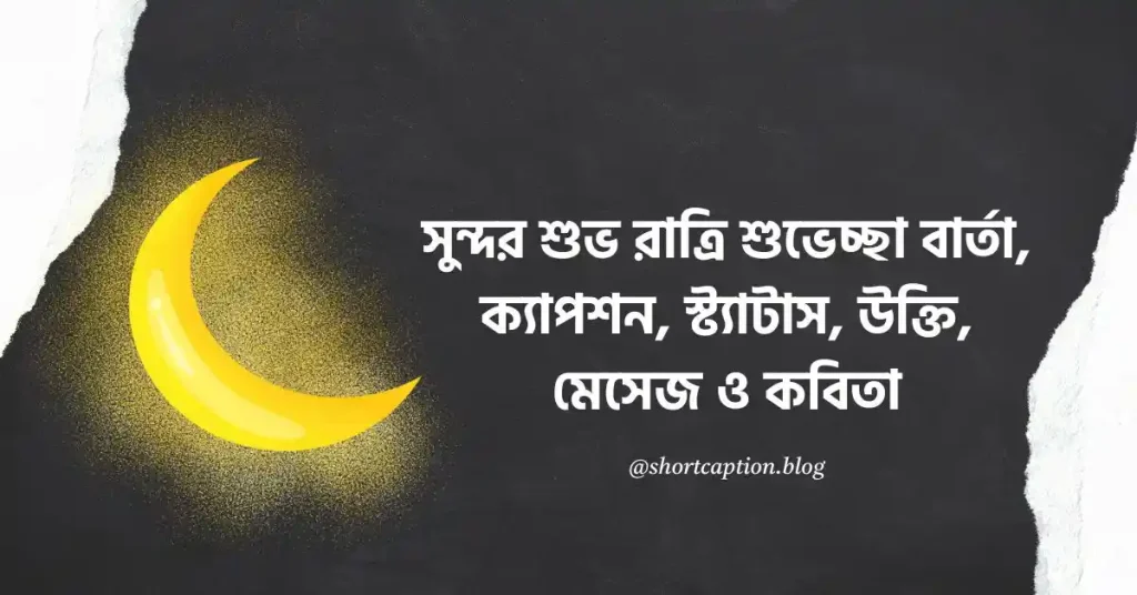 ২০০+ সুন্দর শুভ রাত্রি শুভেচ্ছা বার্তা, ক্যাপশন, স্ট্যাটাস ২০২৬, ছোট ছোট হাদিসের বাণী