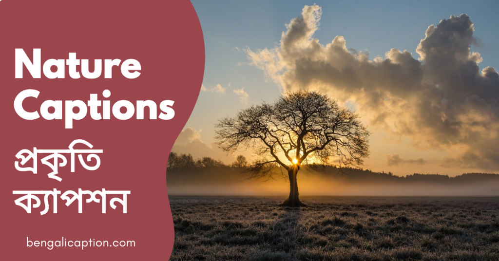 230+ Nature Captions in Bengali | Quotes & Status, গুড মর্নিং সুপ্রভাত