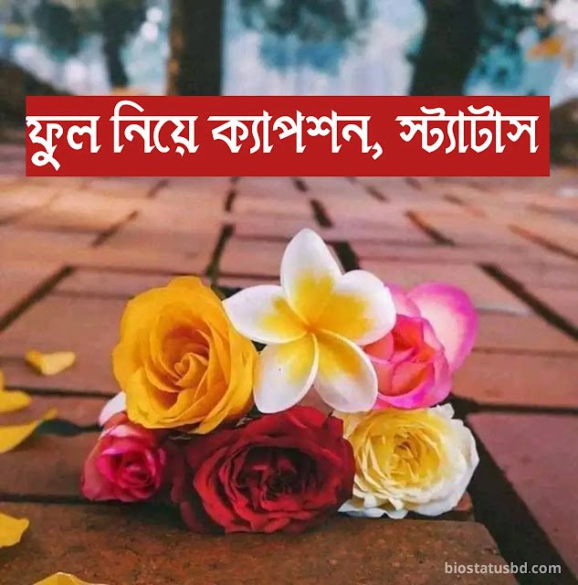 ২৭৯+ ফুল নিয়ে ক্যাপশন | ফুল নিয়ে স্ট্যাটাস বাংলা, ঝর্ণা নিয়ে ক্যাপশন