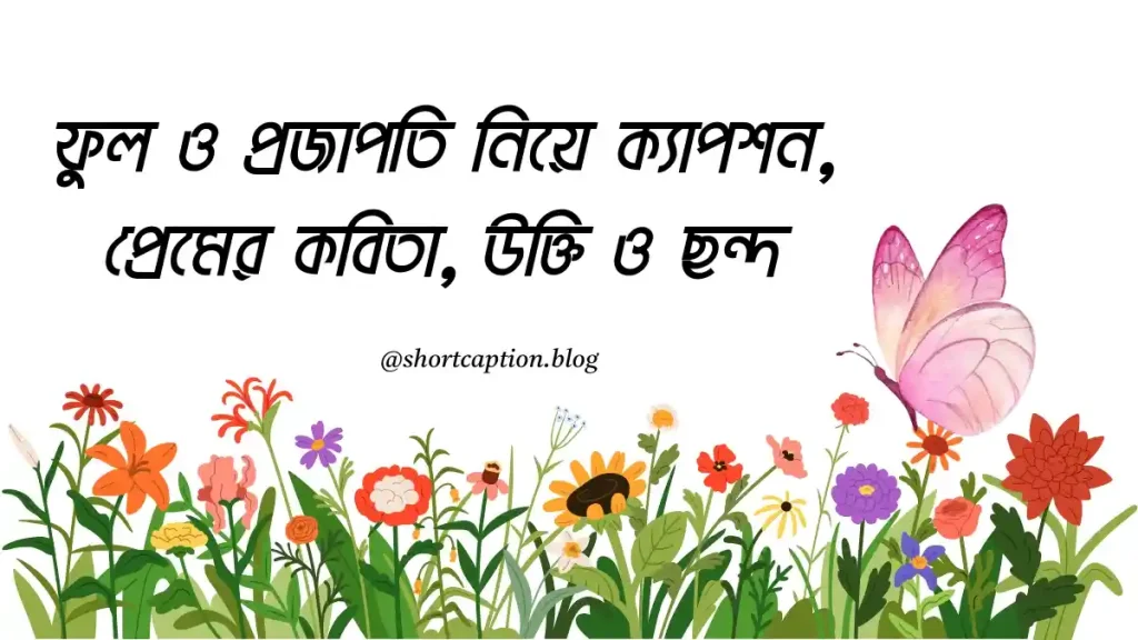 ৩০+ প্রজাপতি নিয়ে ক্যাপশন, প্রেমের কবিতা, উক্তি ও ছন্দ, স্বদেশ প্রেম রচনা
