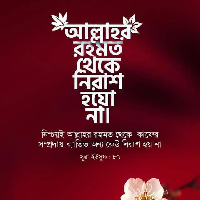 ৩০০+ ইসলামিক স্ট্যাটাস পিকচার ডাউনলোড – ইসলামিক পিকচার ২০২৬ HD, সুন্দর ছন্দ