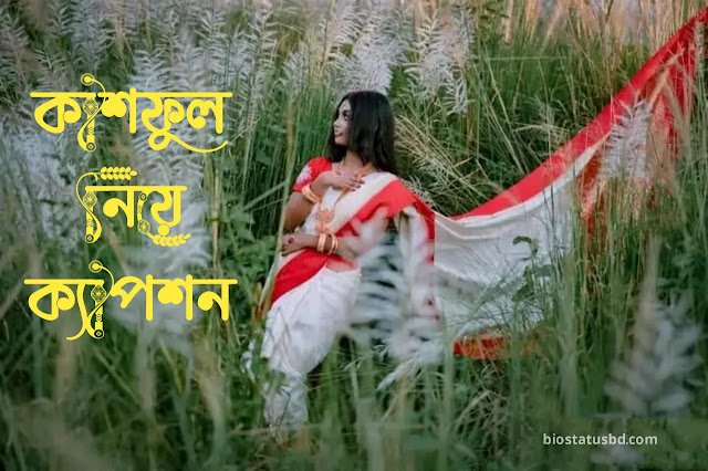 ৩০০+ কাশফুল নিয়ে ক্যাপশন | kashful caption 2025, ভালবাসার সুন্দর কিছু কথা