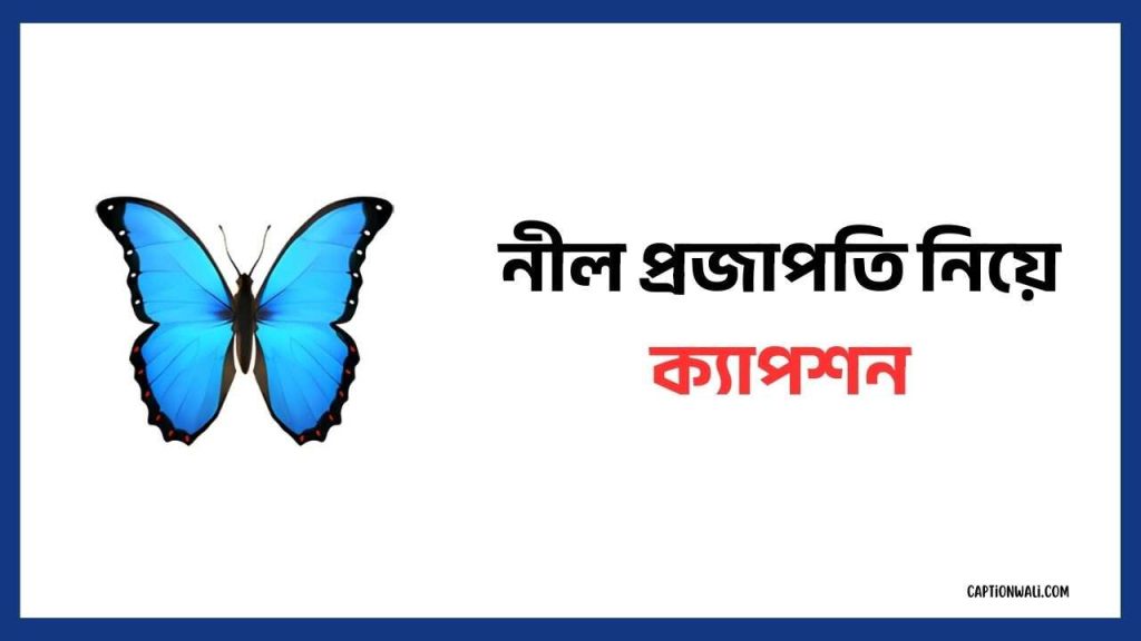 ৩৯+ নীল প্রজাপতি নিয়ে ক্যাপশন ও উক্তি ২০২৬, রিজিক নিয়ে হাদিস