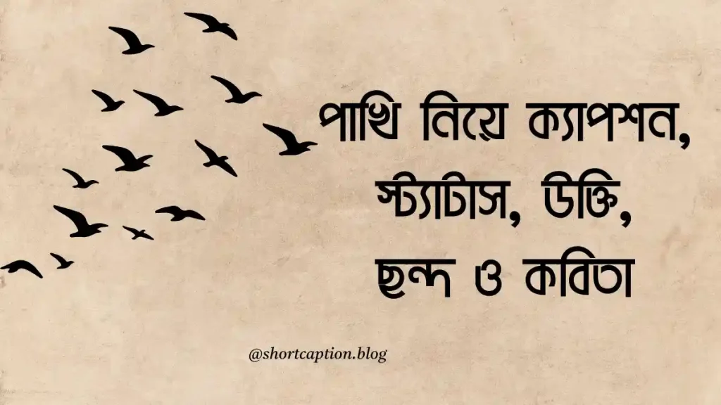 ৪০+ পাখি নিয়ে ক্যাপশন, স্ট্যাটাস, উক্তি, ছন্দ ও কবিতা, শুভরাত্রি ক্যাপশন