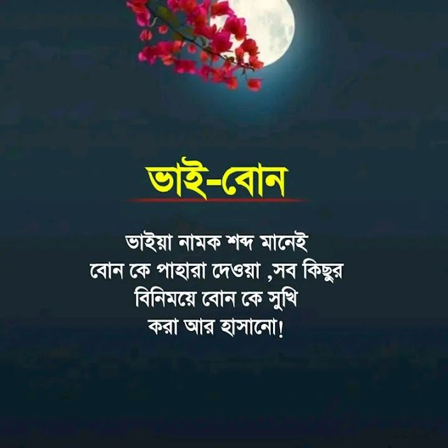 ৫০+ ভাই বোন নিয়ে স্ট্যাটাস – ভাই বোন নিয়ে ক্যাপশন, নিজের জন্মদিনের স্ট্যাটাস