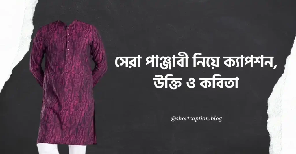৫০+ সেরা পাঞ্জাবী নিয়ে ক্যাপশন, উক্তি ও কবিতা, whatsapp bio bengali