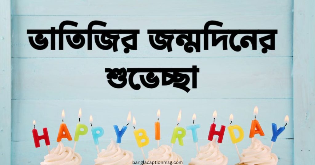 ৬৫+ ভাতিজির জন্মদিনের শুভেচ্ছা, স্ট্যাটাস, SMS ২০২৬, new caption