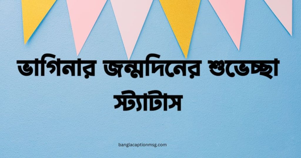 ৭০+ ভাগিনার জন্মদিনের শুভেচ্ছা স্ট্যাটাস: ইসলামিক, ইংলিশ, ধৈর্য meaning in english