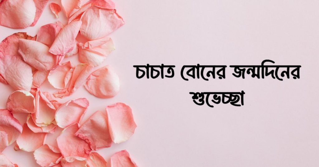 ৭০+ চাচাতো বোনের জন্মদিনের শুভেচ্ছা স্ট্যাটাস ২০২৫, চাঁদ নিয়ে ক্যাপশন
