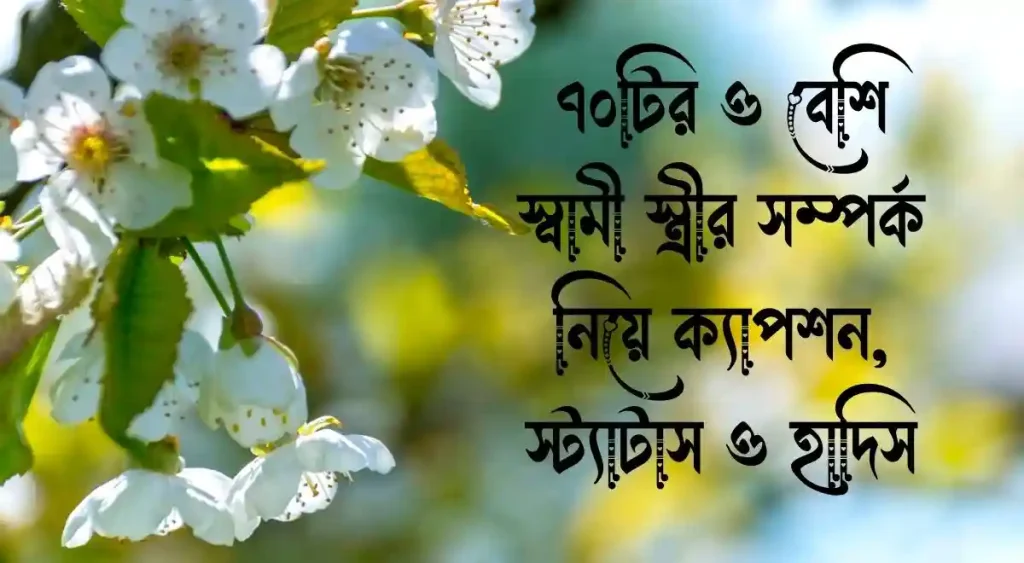 ৭০+ স্বামী স্ত্রীর সম্পর্ক নিয়ে ক্যাপশন, স্ট্যাটাস ও হাদিস, রাজনৈতিক ক্যাপশন