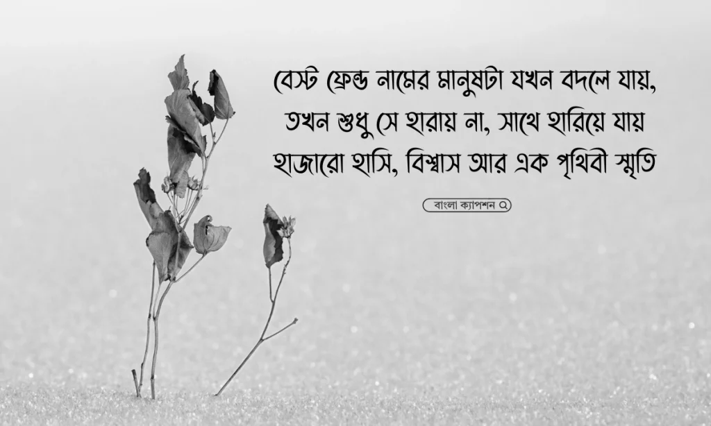 বেস্ট ফ্রেন্ড নিয়ে কষ্টের স্ট্যাটাস ও কিছু কষ্টের কথা, koster status
