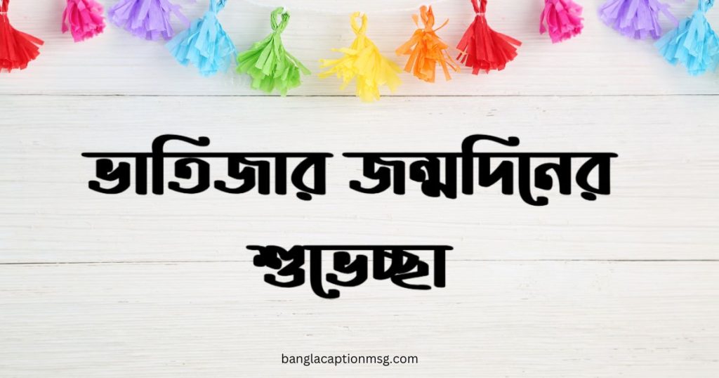 ভাতিজার জন্মদিনের শুভেচ্ছা: ইসলামিক ও ইংরেজী স্ট্যাটাস ২০২৬, নিজের ছবি নিয়ে ক্যাপশন