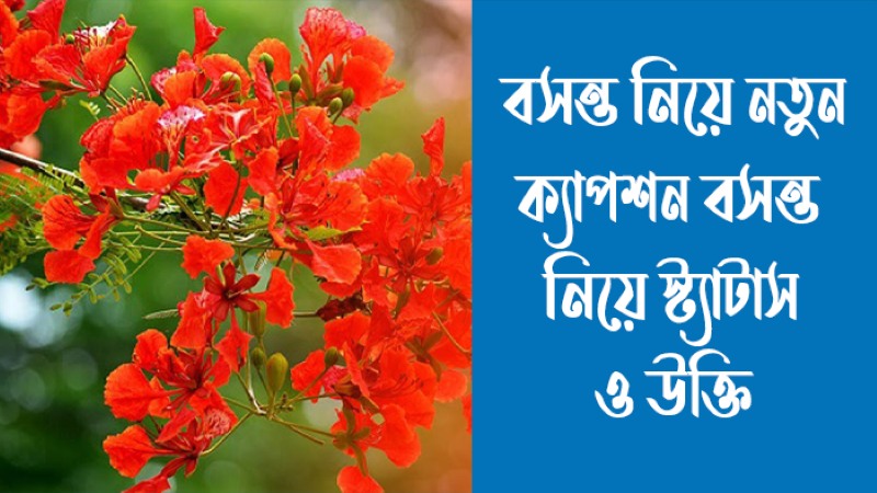 বসন্ত নিয়ে নতুন ক্যাপশন, স্ট্যাটাস, উক্তি এবং কবিতা (সেরা ও বাছাইকৃত), islamic caption bangla