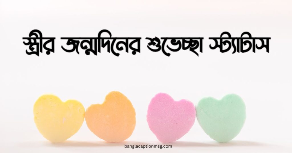 বউকে জন্মদিনের শুভেচ্ছা: ৯৫+ শুভ জন্মদিন অর্ধাঙ্গিনী স্ট্যাটাস ও ছন্দ, ফেসবুক বায়ো