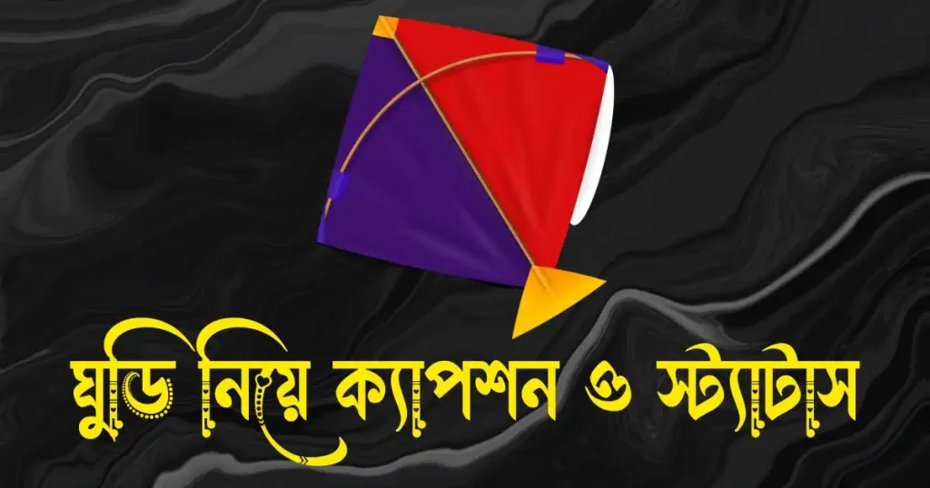 ঘুড়ি নিয়ে ক্যাপশন, স্ট্যাটাস, উক্তি, ছন্দ ও কিছু কথা, বিকেল নিয়ে ক্যাপশন