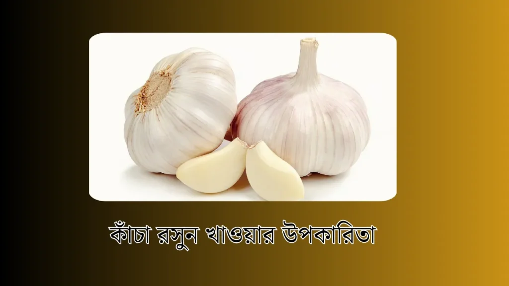 কাঁচা রসুন খাওয়ার উপকারিতা – Rosuner upokarita in bengali, দুপুর এর ইংরেজি কি