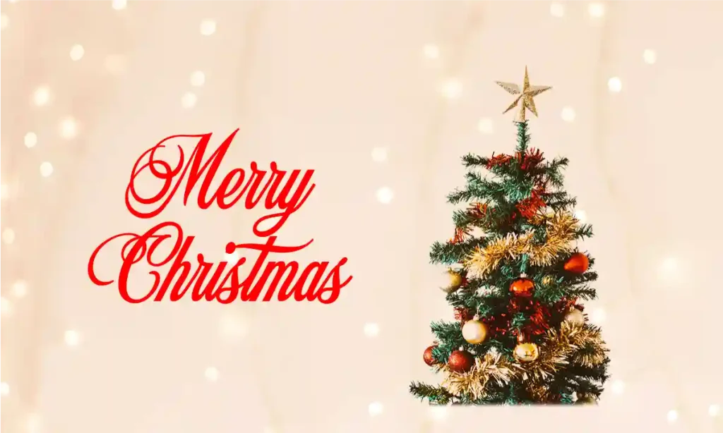 ক্রিসমাস বড়দিনের শুভেচ্ছা স্ট্যাটাস ও ক্যাপশন ২০২৫, বাংলা টু ইংরেজি