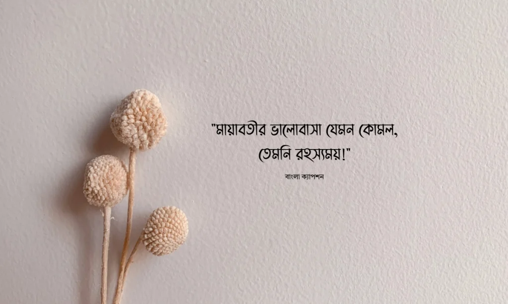 মায়াবতী নিয়ে ক্যাপশন: মায়াবী নারীদের নিয়ে কিছু কথা, হুমায়ূন আহমেদ এর উক্তি