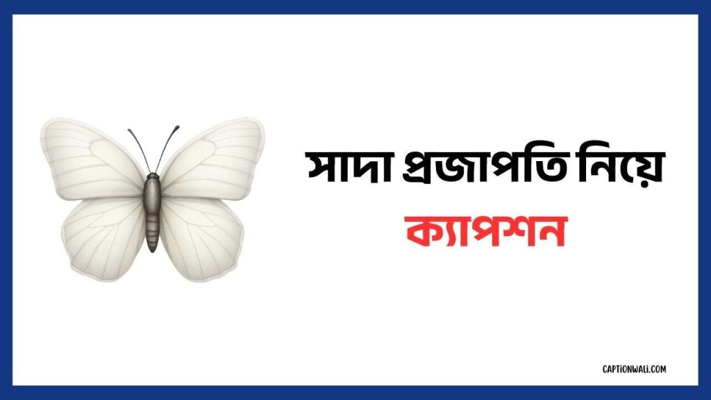 সাদা প্রজাপতি নিয়ে ক্যাপশন: শুভ্রতার গল্প ২০২৬, বেইমান মানুষ নিয়ে উক্তি