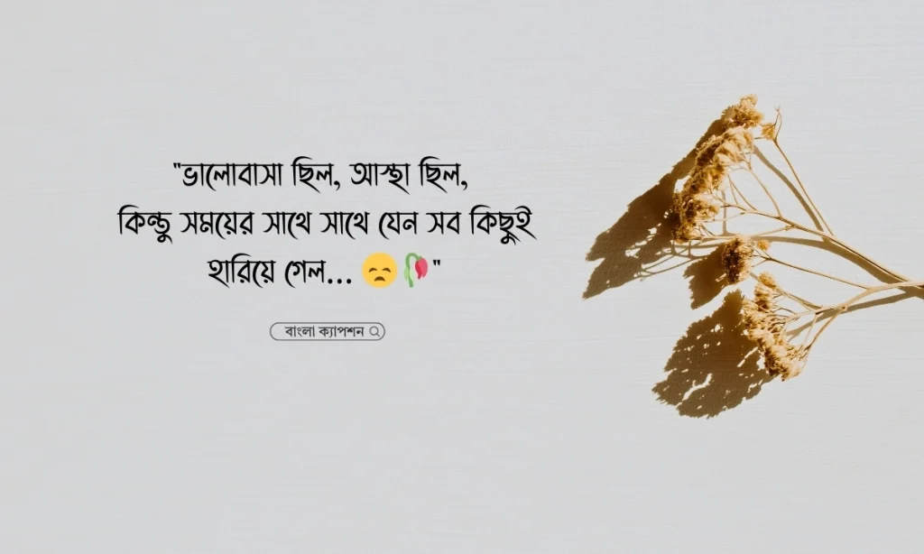 স্বামীকে নিয়ে কষ্টের স্ট্যাটাস এবং ক্যাপশন, sigma meaning in bengali