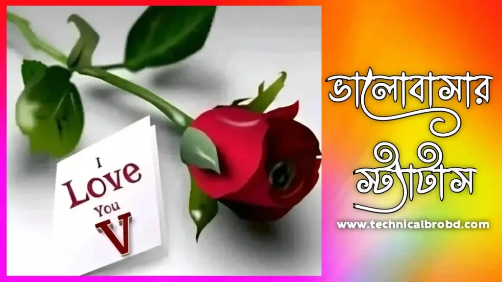 সেরা ভালোবাসার স্ট্যাটাস ২০২৬ – ভালোবাসার রোমান্টিক কথা | Valobashar Status Bangla, ছেলেদের ইসলামিক নাম অর্থসহ