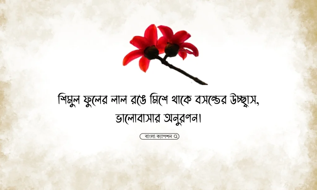 শিমুল ফুল নিয়ে ক্যাপশন, স্ট্যাটাস, উক্তি ও কবিতা ২০২৬, অকৃতজ্ঞ মানুষ নিয়ে উক্তি