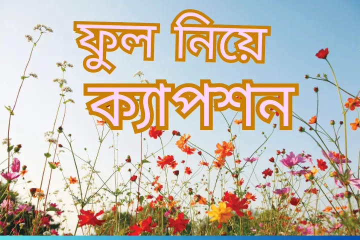 400+সেরা ফুল নিয়ে ক্যাপশন,স্টাটাস ও উক্তি।, অসম্ভব সুন্দর প্রেমের ছন্দ