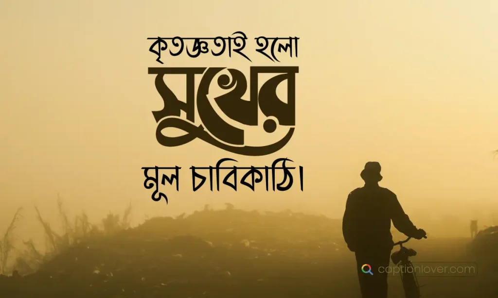 ১০০+ হ্যাপি লাইফ স্ট্যাটাস ও সুখী জীবন নিয়ে উক্তি (২০২৬ আপডেট), বিকালের ক্যাপশন
