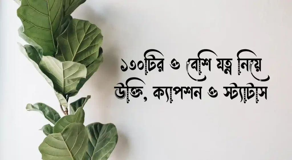 ১৩০+ যত্ন নিয়ে উক্তি, ক্যাপশন ও স্ট্যাটাস, বিকেলের ক্যাপশন