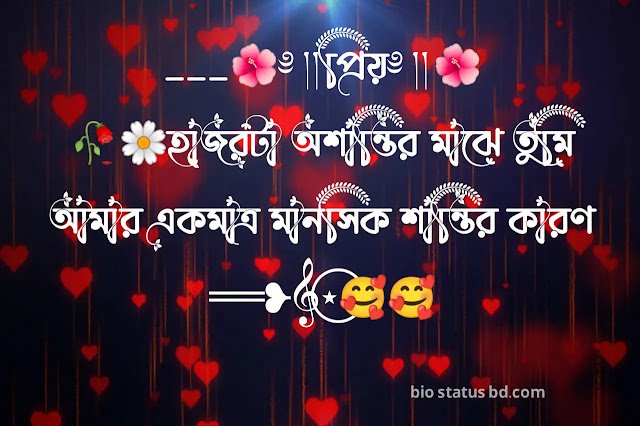 150+ মায়াবী চোখ নিয়ে স্ট্যাটাস,ক্যাপশন, কবিতা , উক্তি, ছন্দ ২০২৫, ইসলামিক বিবাহ বার্ষিকী শুভেচ্ছা