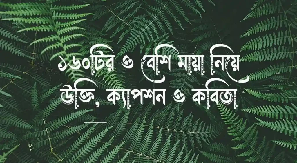 ১৬০+ মায়া নিয়ে উক্তি, ক্যাপশন ও কবিতা, বান্ধবীর জন্মদিনের শুভেচ্ছা স্ট্যাটাস