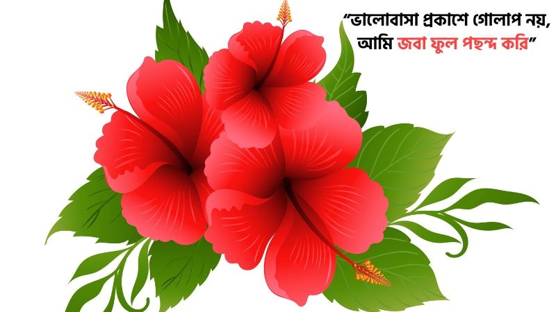 199+ জবা ফুল নিয়ে ক্যাপশন, স্ট্যাটাস, ছন্দ, উক্তি ও কবিতা, অপেক্ষা নিয়ে স্ট্যাটাস