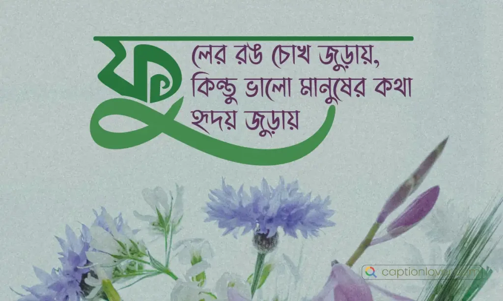 ২০০+ ফুল নিয়ে ক্যাপশন, স্ট্যাটাস ও উক্তি ২০২৬, husband niye caption