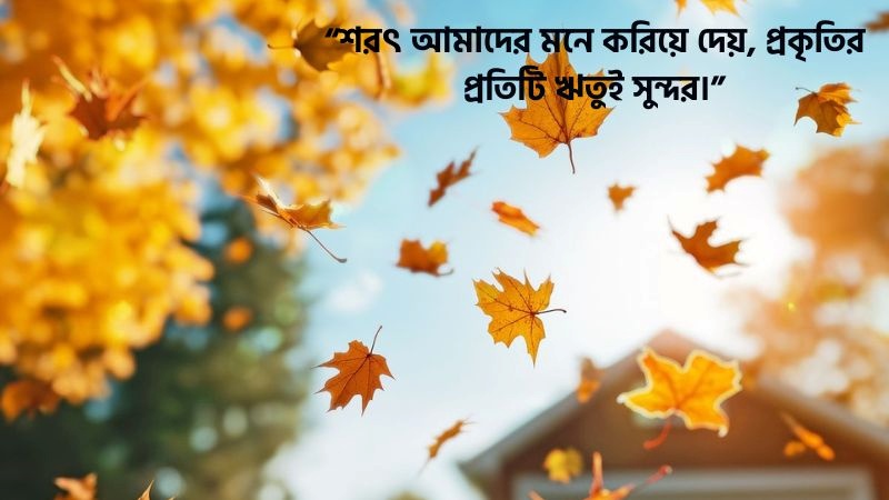 ২০০+ শরৎকাল নিয়ে উক্তি – শরৎকাল নিয়ে ক্যাপশন, স্ট্যাটাস ও কবিতা, ইসলামিক কথা