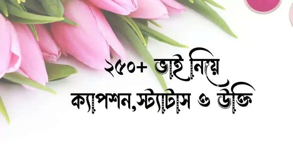 ২৫০+ ভাই নিয়ে ক্যাপশন, স্ট্যাটাস ও উক্তি, fb status