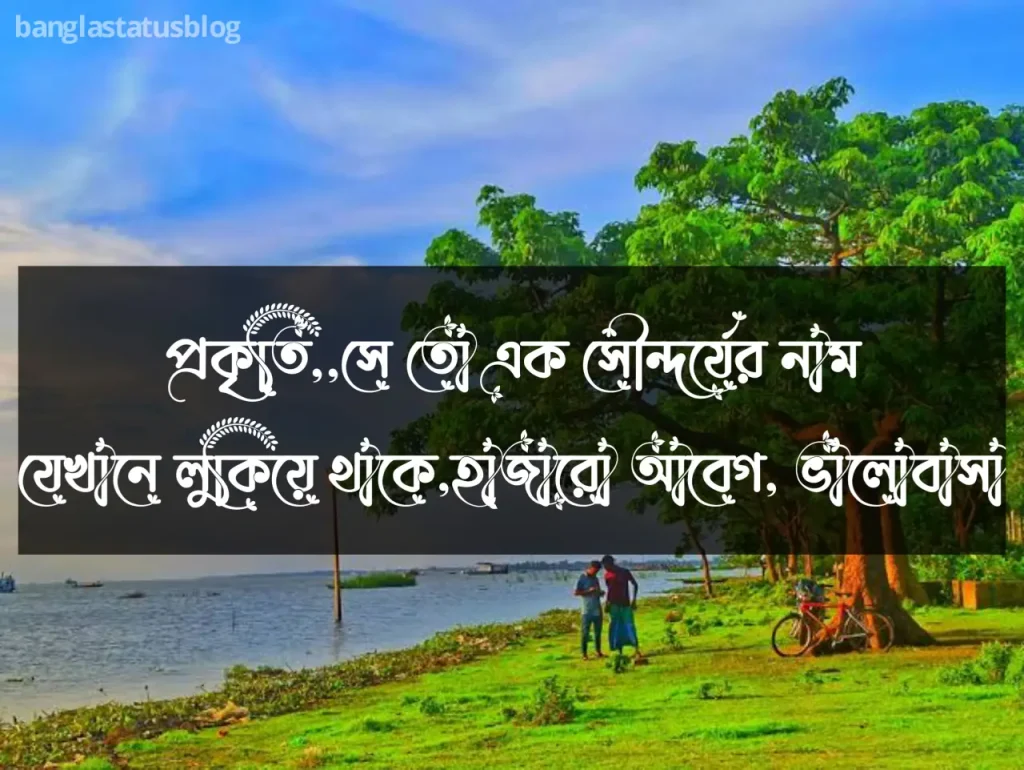 ৩০০+ প্রকৃতি নিয়ে ক্যাপশন | সবুজ প্রকৃতি নিয়ে ক্যাপশন, পড়ন্ত বিকেল নিয়ে ক্যাপশন