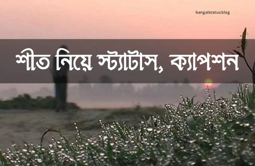 ৩০০+ শীত নিয়ে স্ট্যাটাস, ক্যাপশন, কবিতা ও উক্তি, maa kali caption in bengali
