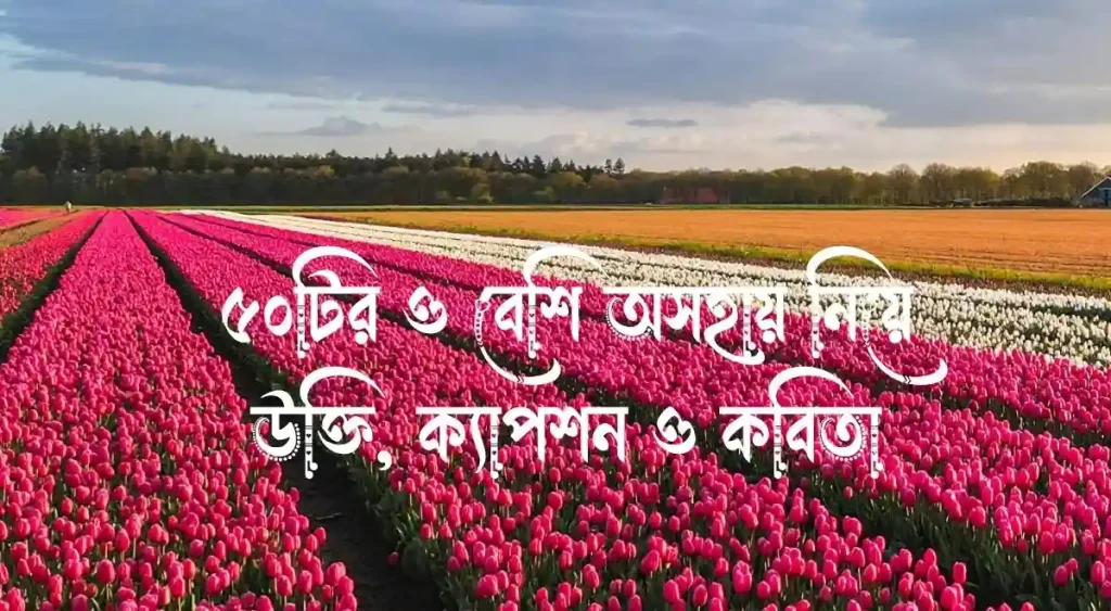 ৫০+ অসহায় নিয়ে উক্তি, ক্যাপশন ও কবিতা, শুভ সন্ধ্যা ক্যাপশন বাংলা