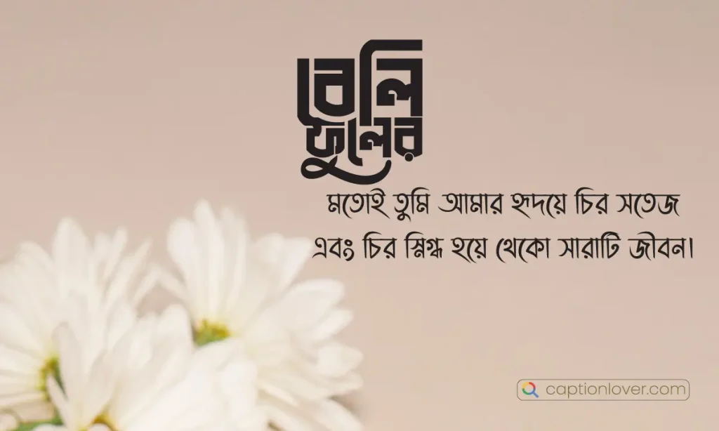 ৫০+ বেলি ফুলের ক্যাপশন, উক্তি ও কবিতা ২০২৬, মেয়ের জন্মদিনের শুভেচ্ছা