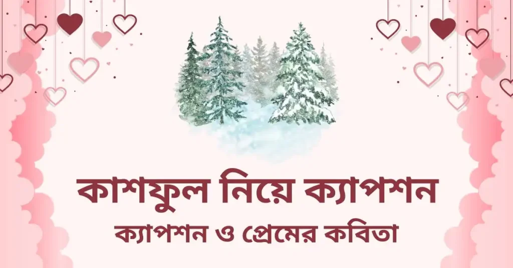৫০+ কাশফুল নিয়ে ক্যাপশন ও প্রেমের কবিতা, নতুন বছরের শুভেচ্ছা